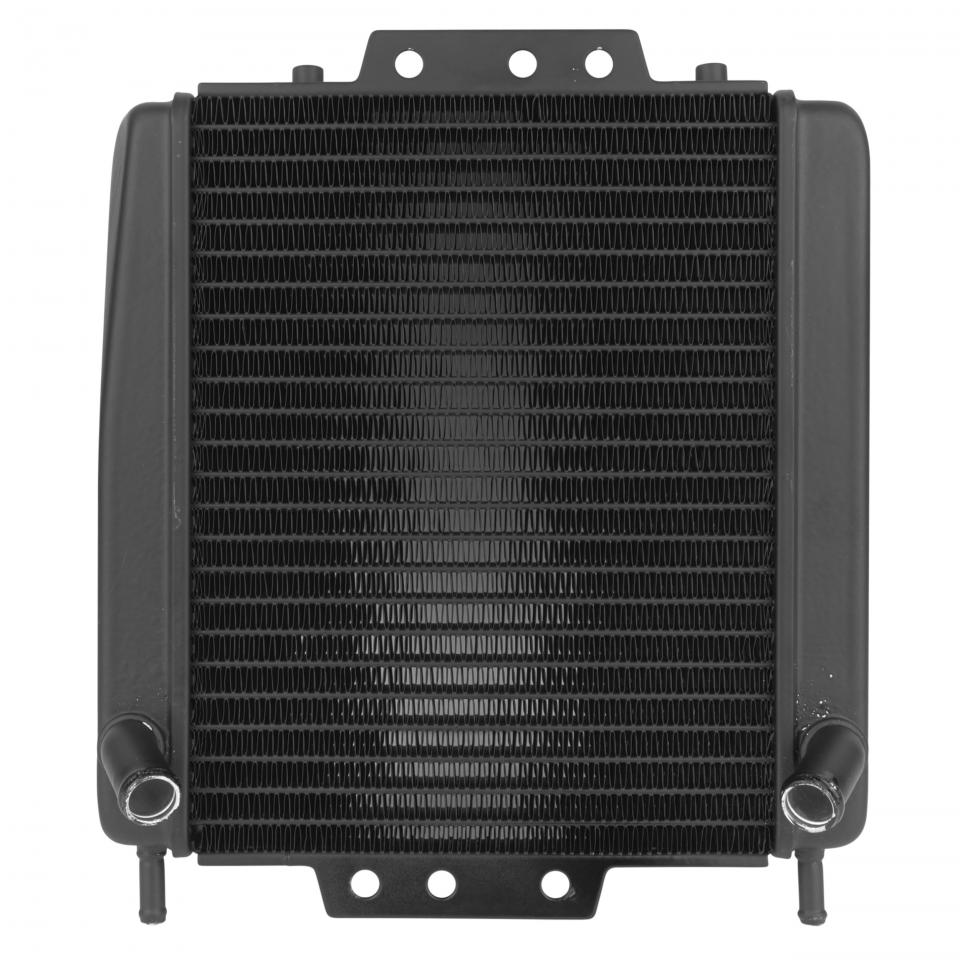Radiateur de refroidissement SELECTION P2R (Motorisé) pour Auto Neuf
