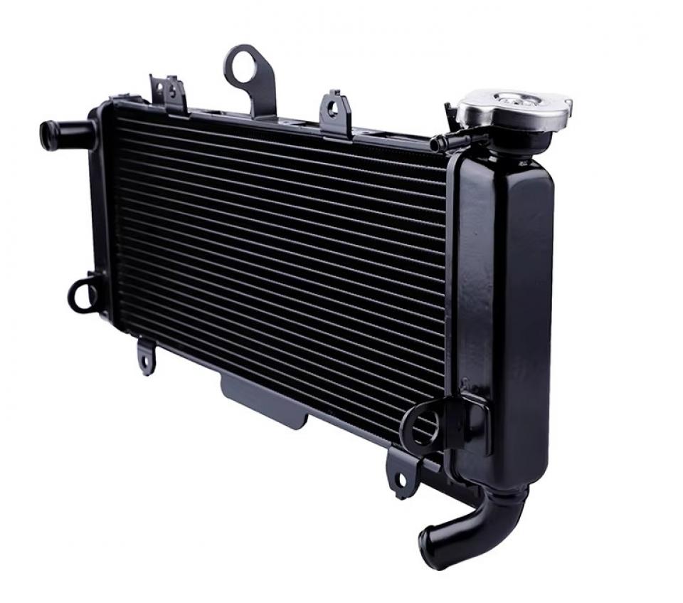 Radiateur de refroidissement Brazoline pour Auto Neuf