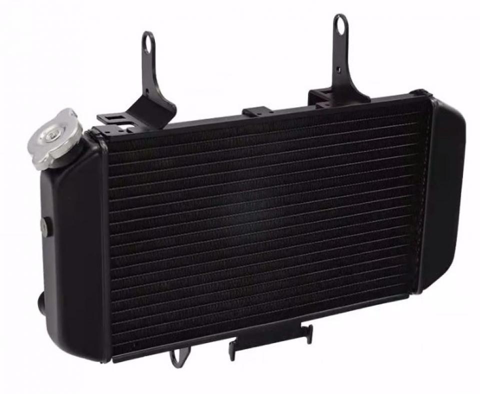 Radiateur de refroidissement Brazoline pour Auto Neuf
