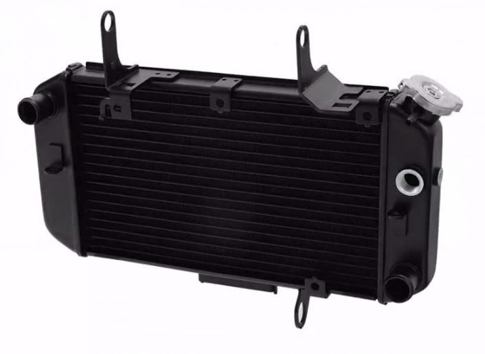 Radiateur de refroidissement Brazoline pour Auto Neuf