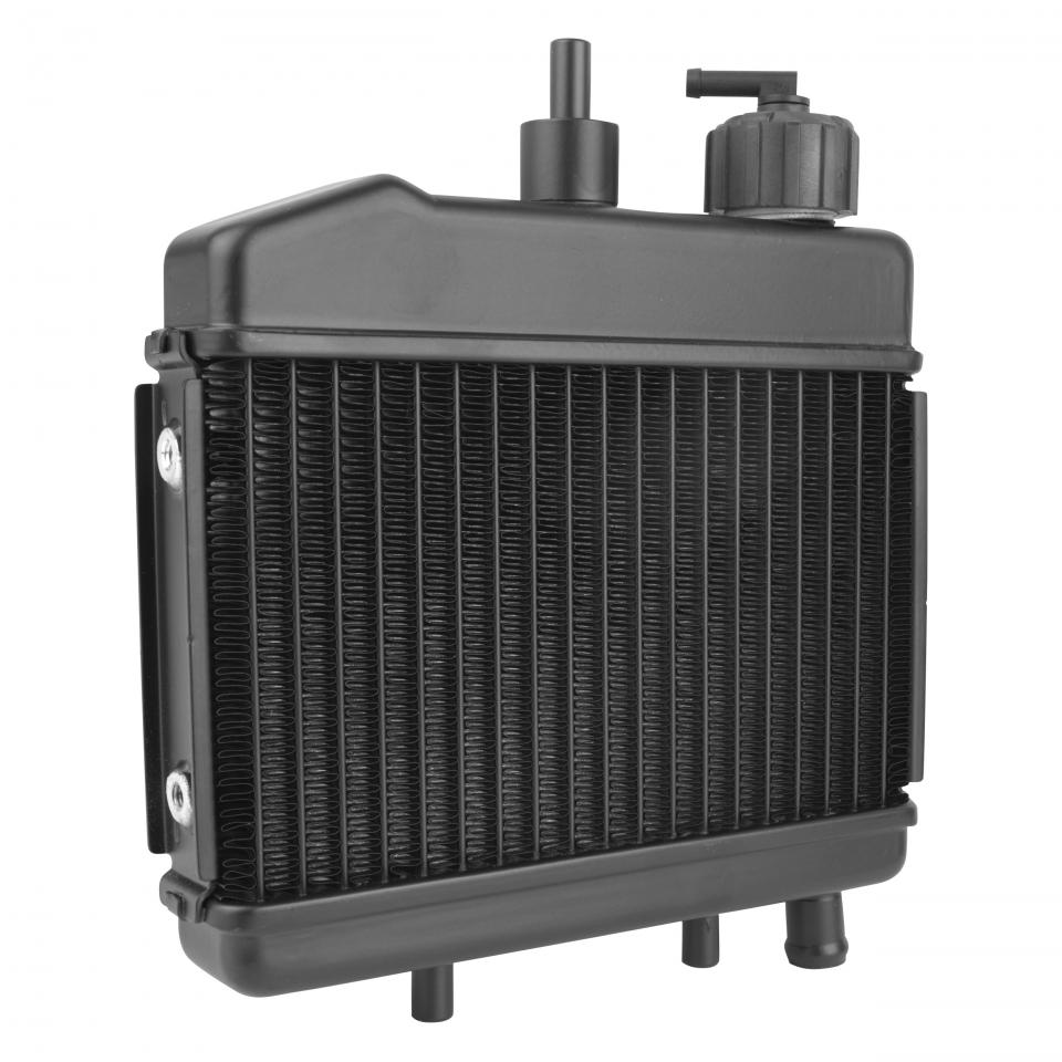 Radiateur de refroidissement SELECTION P2R (Motorisé) pour Auto Neuf