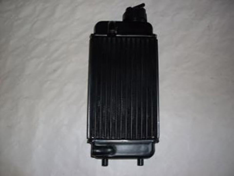 Radiateur de refroidissement Générique pour Moto Aprilia 50 RX 1995 à 2004 8201666 Neuf